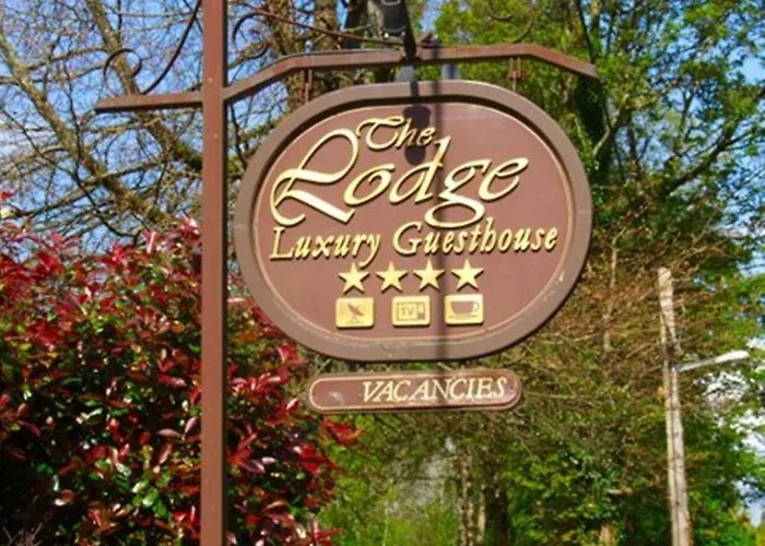 The 컨트리하우스 *